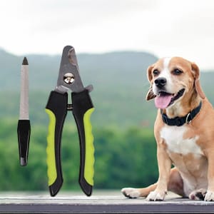 Nail Cutter